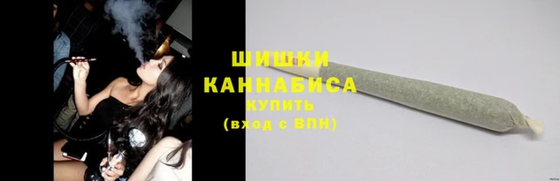 дживик Богородицк